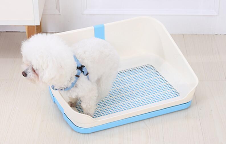 Small dog using a pet toilet with a blue and white design on a light wooden floor at Pet Servo