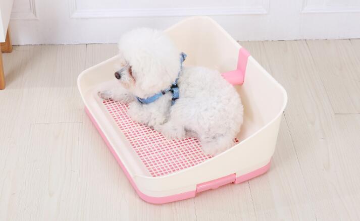 Small white dog sitting in a pink pet toilet on a light wooden floor at Pet Servo