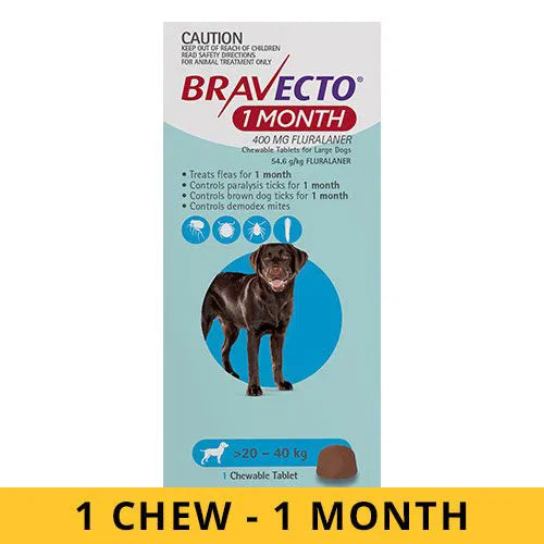 Bravecto packaging for dogs with a blue background and a brown dog illustration at Pet Servo