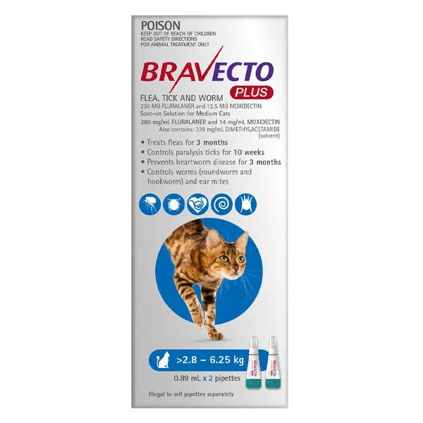 Bravecto Plus packaging for cats with product details on a white background