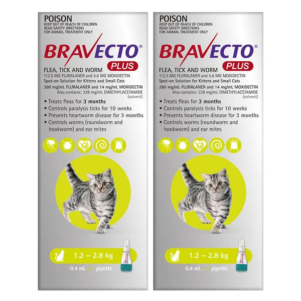 Two Bravecto Plus packages for cats on a white background