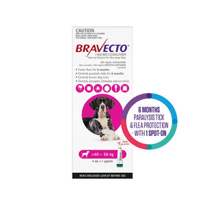 Bravecto packaging for very large dogs with a dog illustration on a white background at Pet Servo