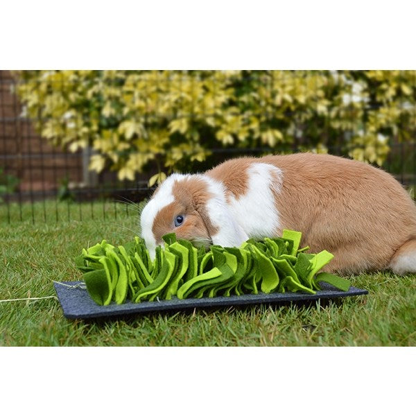 Buy Rosewood Snuffle Forage Mat 29.5 x 19cm at Pet Servo