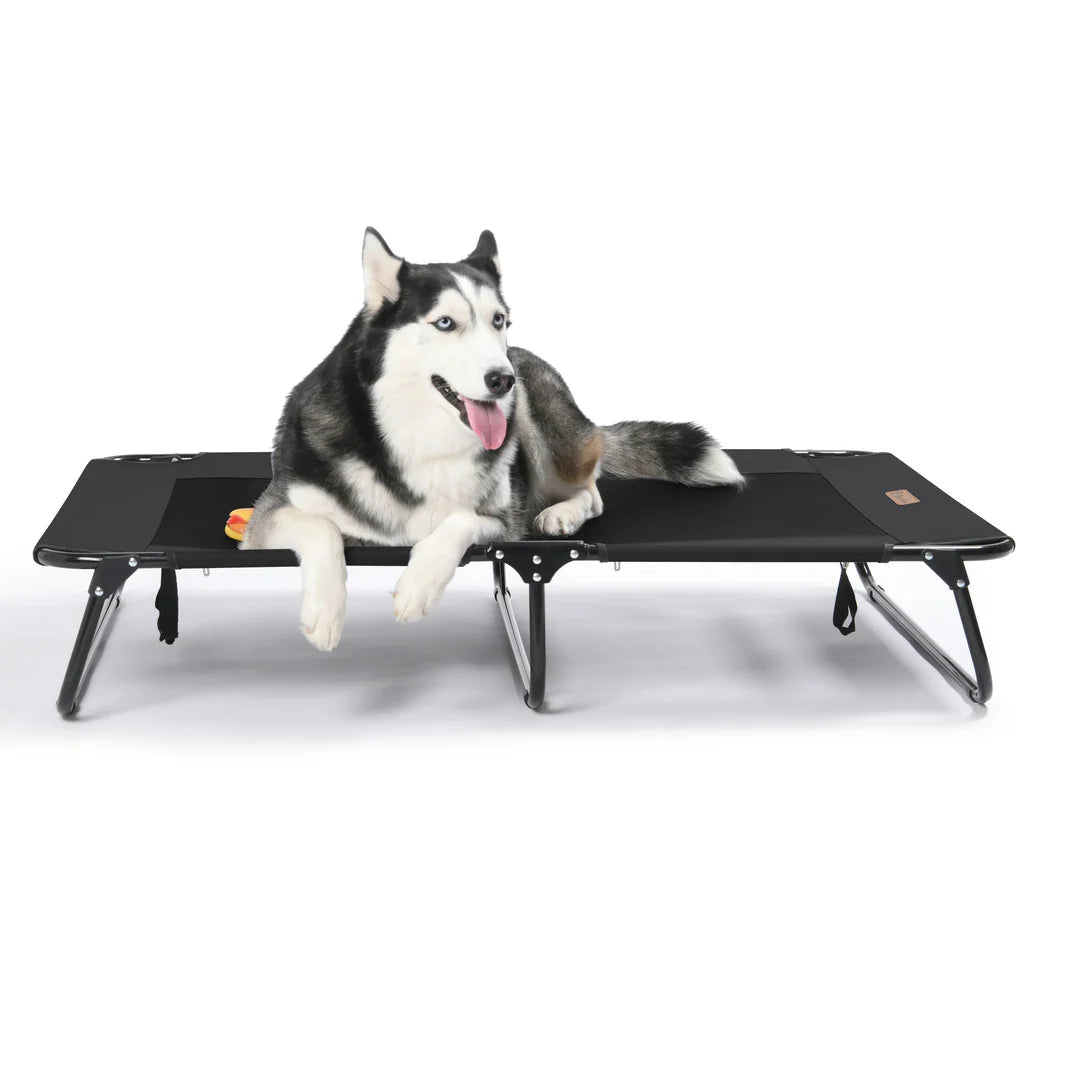 Charlie's - Adventure Foldable Travel Pet Cot 107x61x20cm - Large - Black