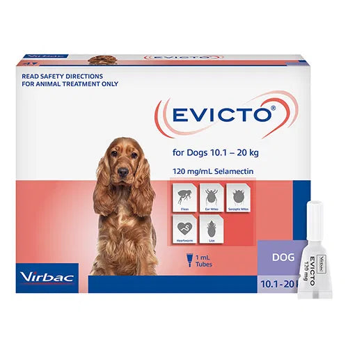 Evicto packaging for dogs with a dog illustration on a white background