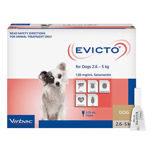 Evicto packaging for dogs with a small dog illustration on a white background at Pet Servo