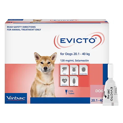 Evicto - Spot-on (Selamectin) FOR LARGE DOGS 20-40KG (PINK)