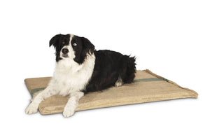 Dog lying on a woven mat with a white background at Pet Servo