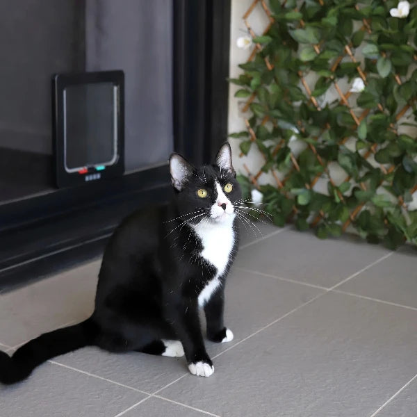 Hakuna Pets - Cat Flap - Large Black - petservo