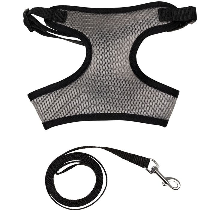 Gray mesh dog harness with black trim and a matching leash on a white background