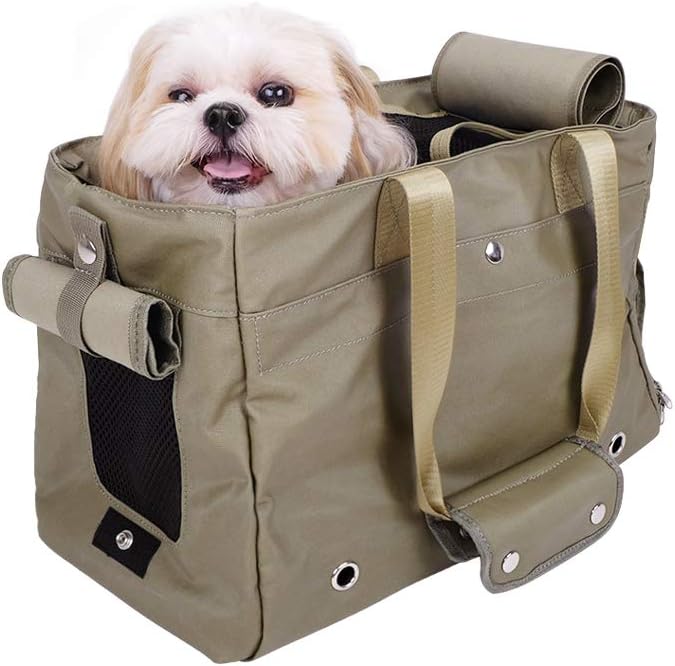 Ibiyaya Canvas Pet Carrier Tote for Cats & Dogs Light Green - petservo-1