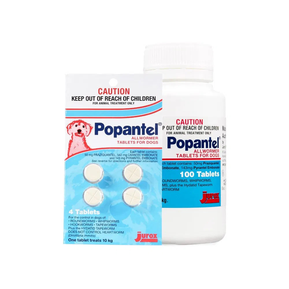 Popantel allwormer tablets for dogs packaging on a white background at Pet Servo