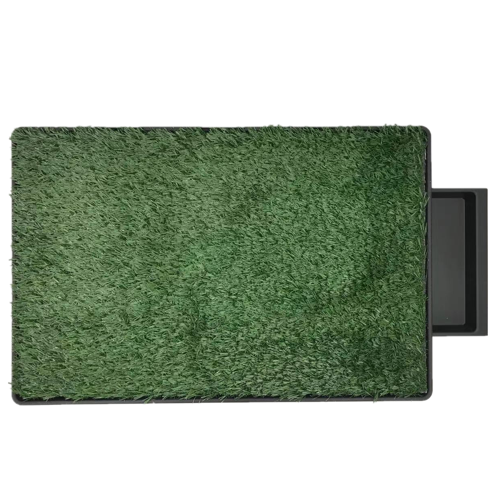 Green doormat with a black border on a white background at Pet Servo