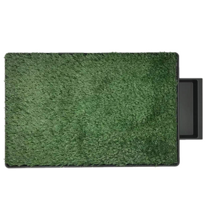 Green doormat with a black border on a white background at Pet Servo