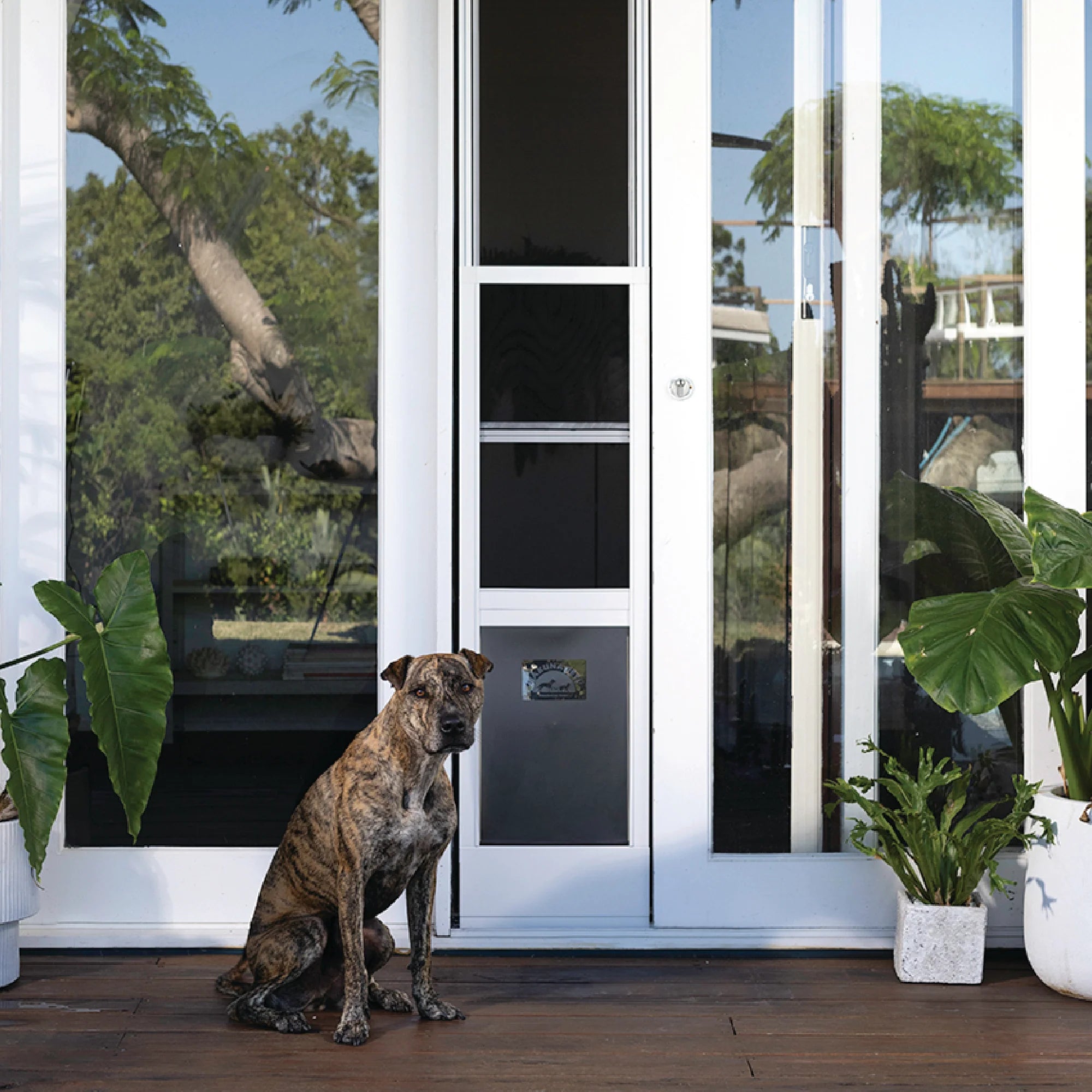 Hakuna Pets - Mesh Patio Pet Door (2021) + Clear Weather Resistant Panels - Large