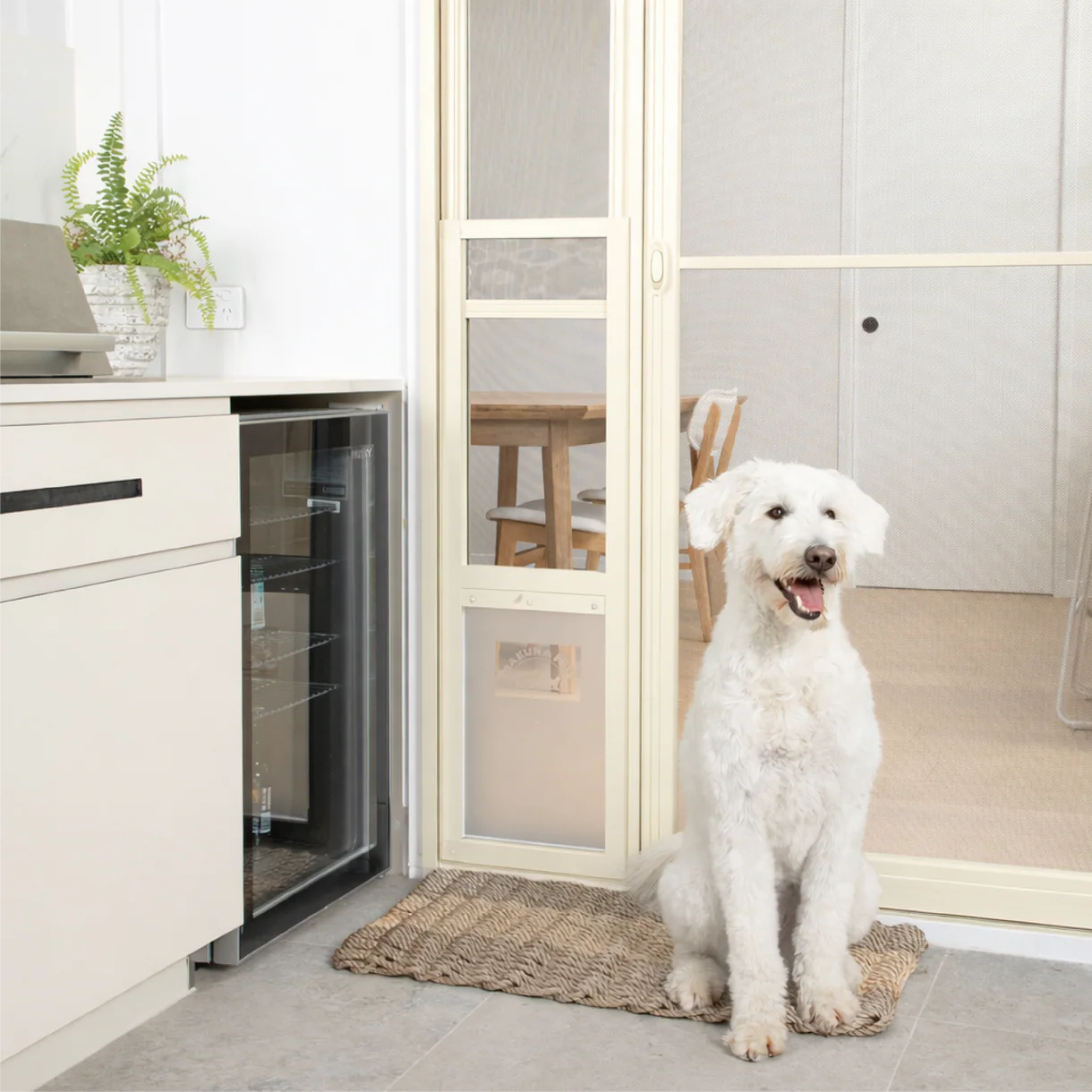 White dog sitting on a mat in front of a glass door with a view of a kitchen.