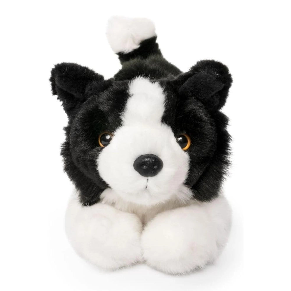 Living Nature - Border Collie Playful Pup - PetServo