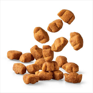 Brown dog food kibble pieces floating and pooling on a clean white background.