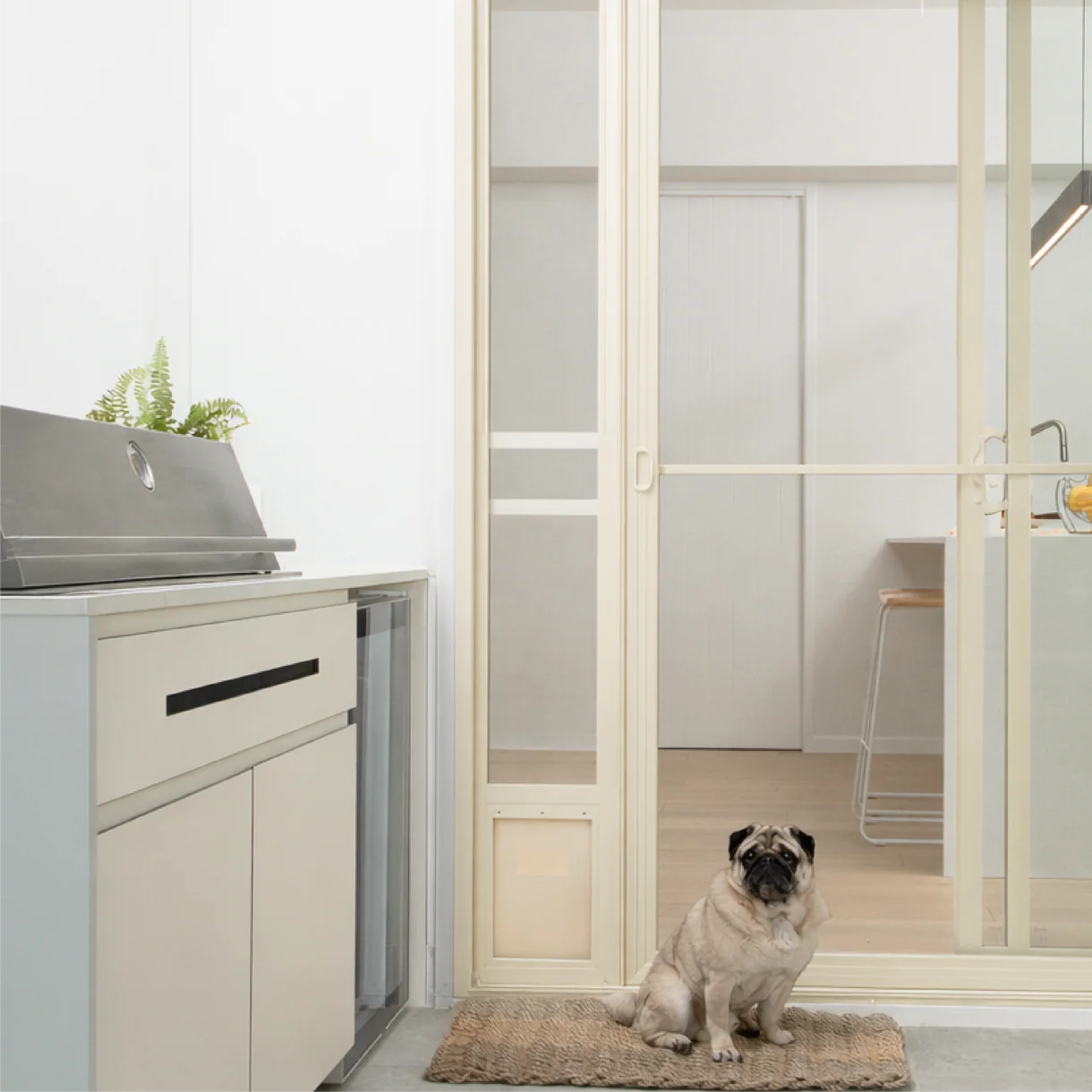 Pug sitting on a mat in front of a glass door with a view into a modern kitchen.