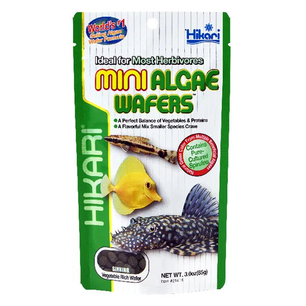 Hikari mini algae wafers packaging with fish illustrations on a white background at Pet Servo