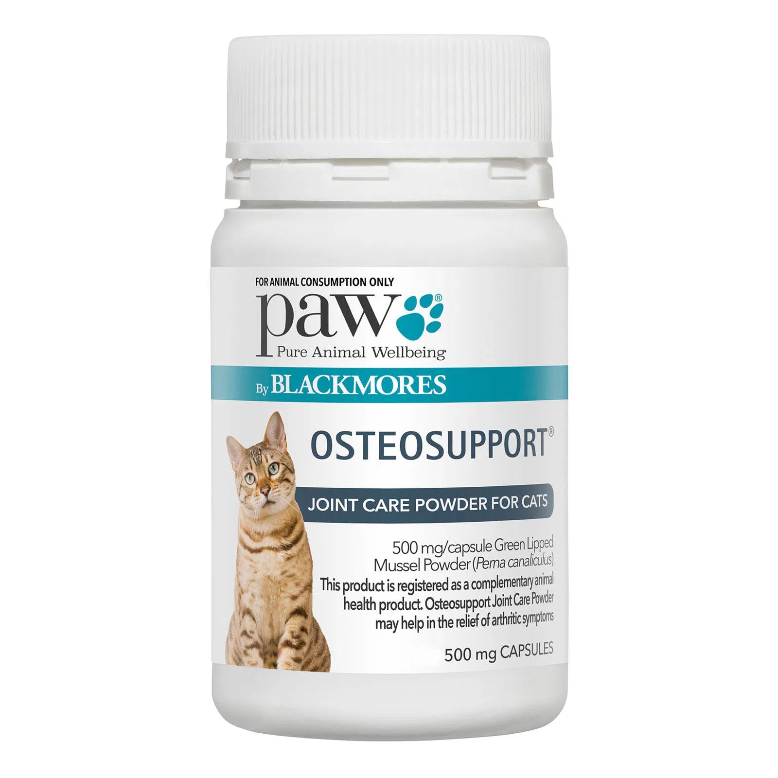 Bottle of Blackmores Osteosupport Joint Care Powder for Cats on a white background at Pet Servo