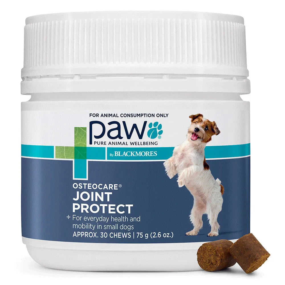 Jar of Paw Osteocare Joint Protect supplement for dogs on a white background at Pet Servo