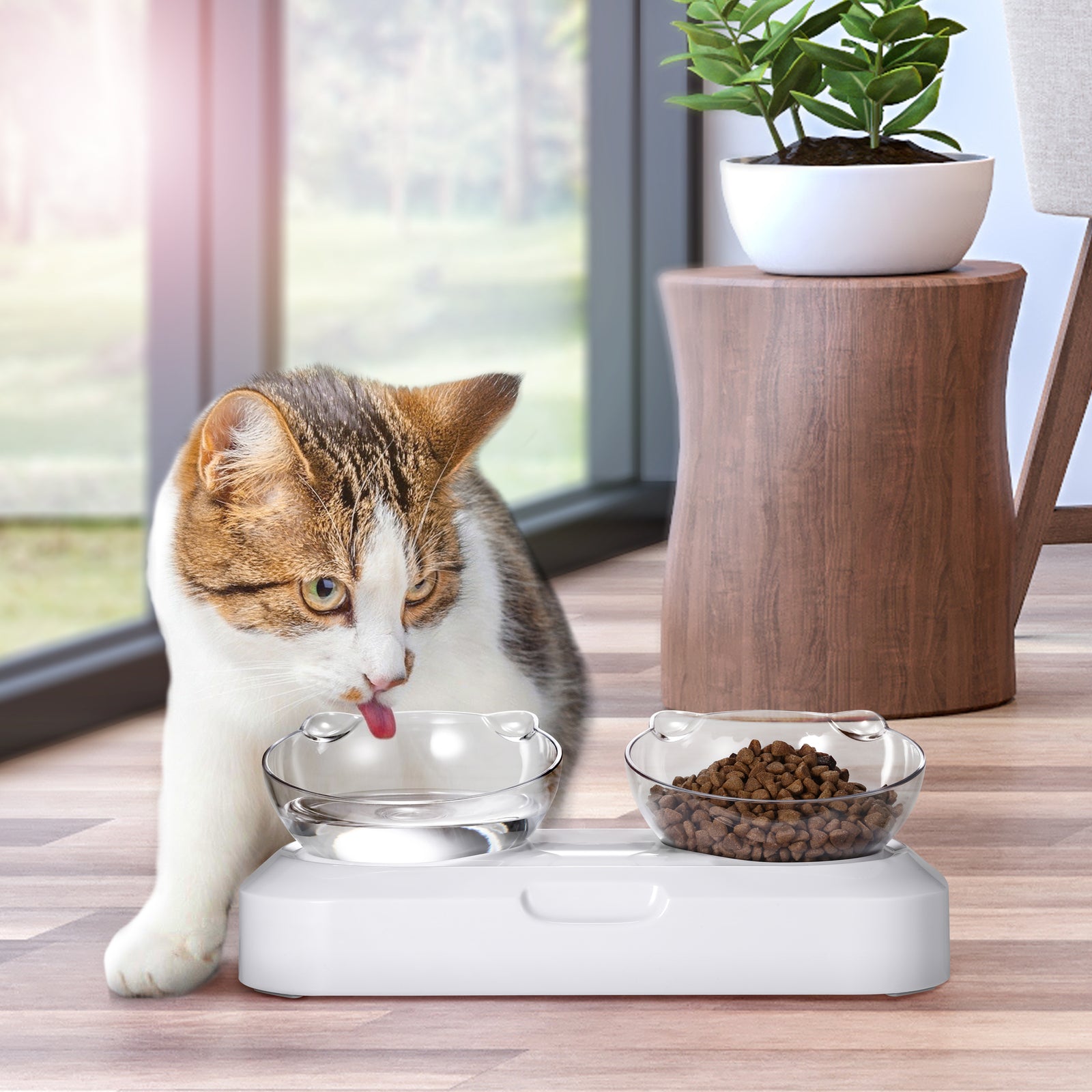 Cat drinking from a bowl on a elevated pet feeder with another bowl of food nearby, in a home setting at Pet Servo