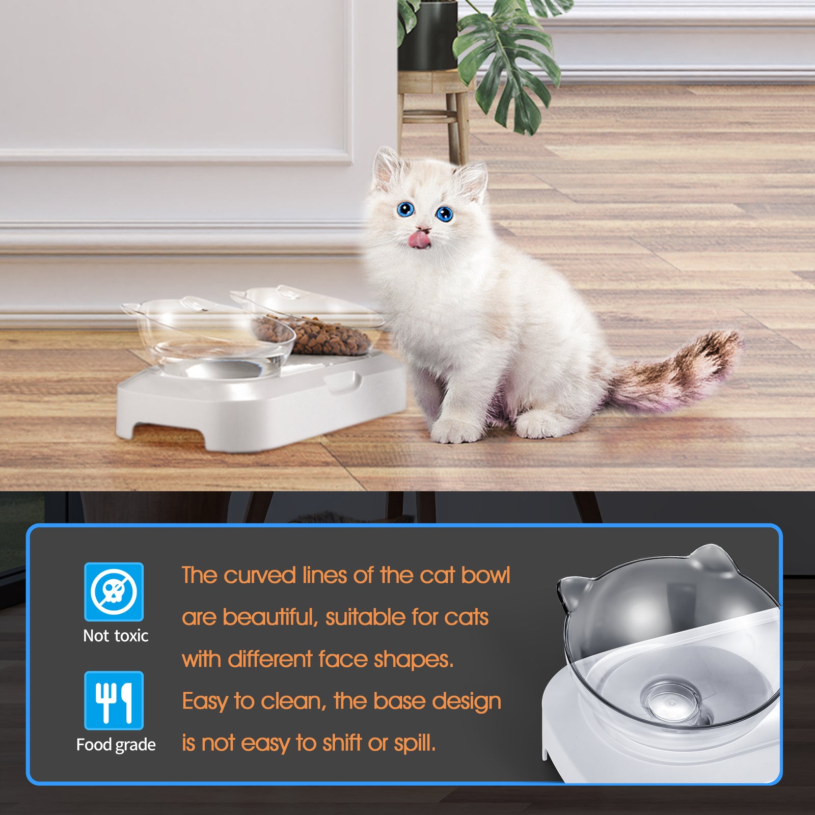 White cat with blue eyes sitting next to a curved glass cat bowl on a wooden surface at Pet Servo