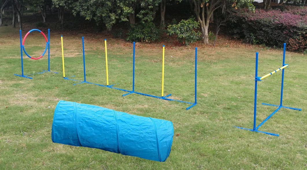 Dog agility course set up on grass with various obstacles including tunnels and hoops at Pet Servo