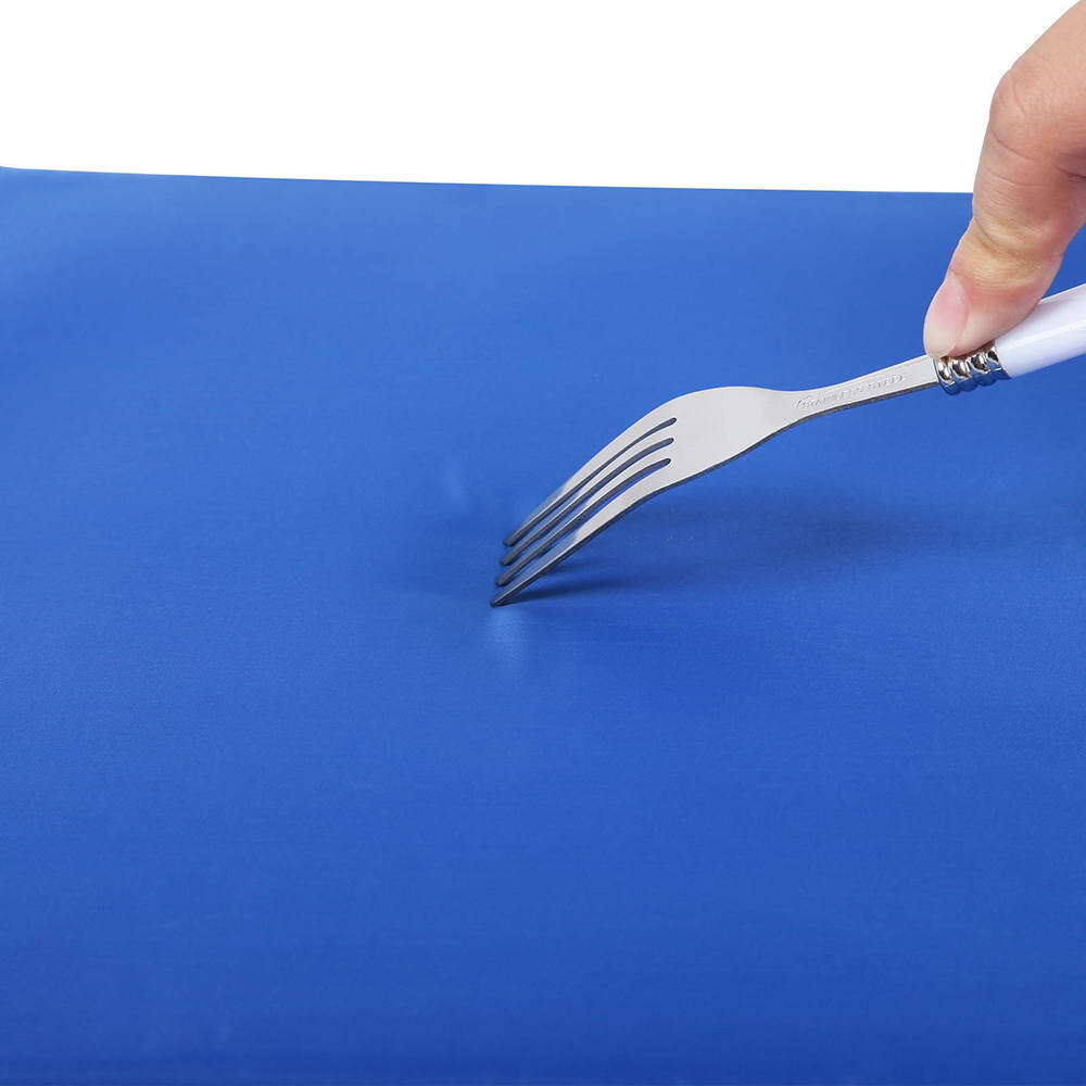 Hand holding a fork above a blue surface at Pet Servo