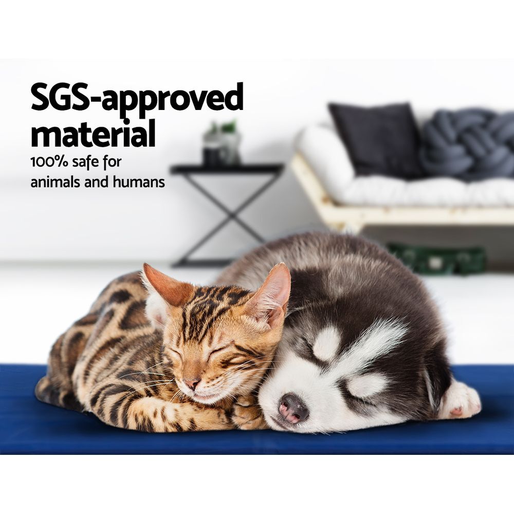 Cat and dog lying on a blue mat with SGS-approved material text at Pet Servo