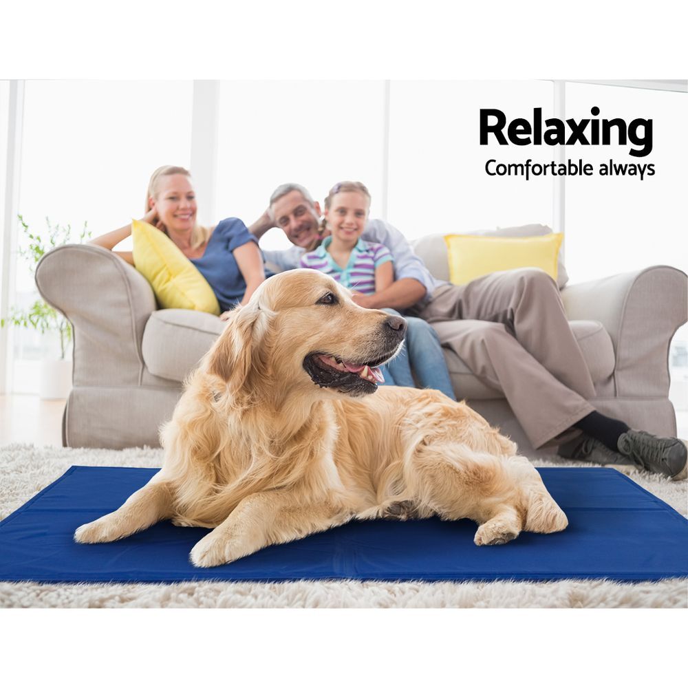 Dog lying on a blue mat with a family sitting in the background, text 'Relaxing Comfortable always' at Pet Servo