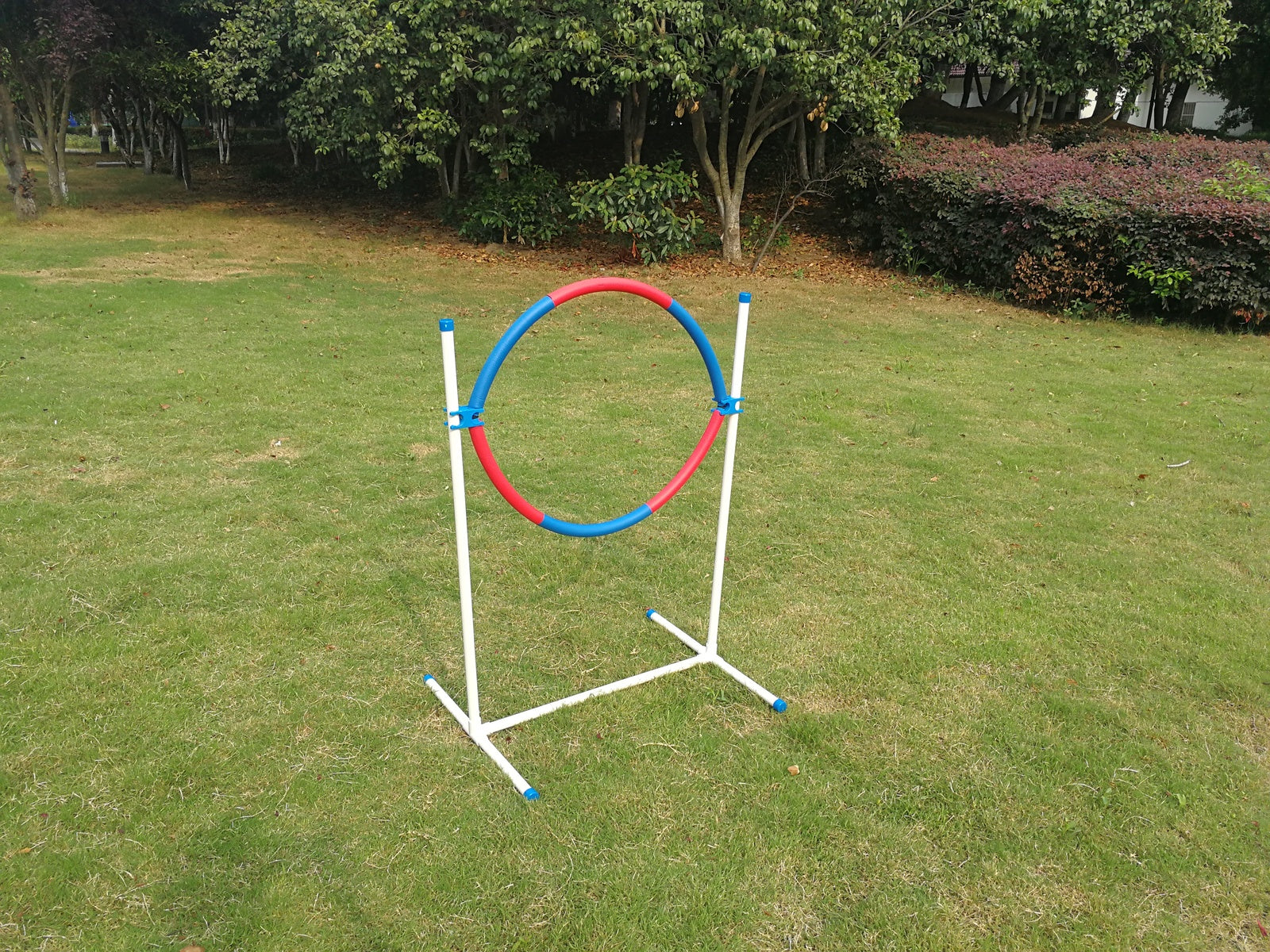 Red and blue hoop on a stand in a grassy area with trees in the background at Pet Servo