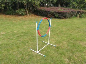 Dog agility hoop set on a grassy field with trees in the background at Pet Servo