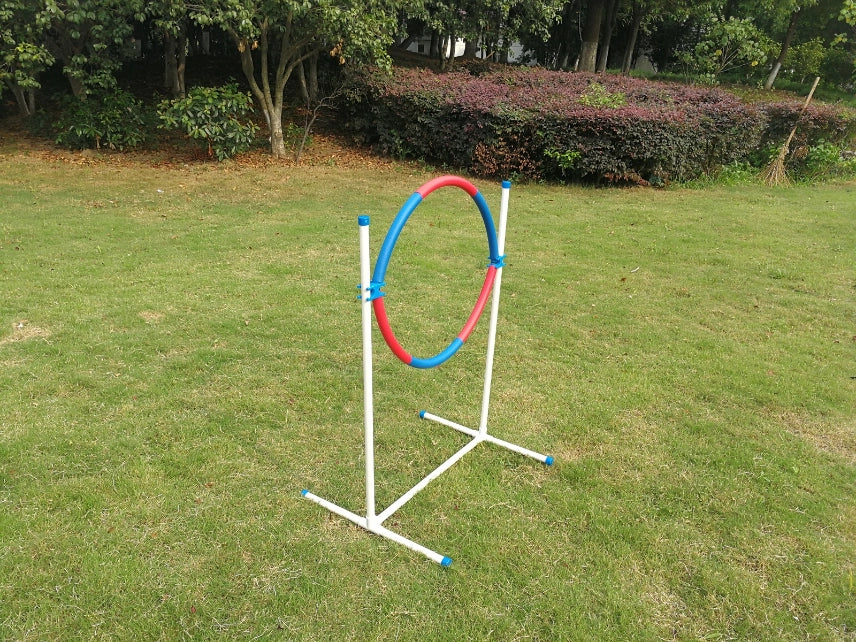 A PVC plastic agility hoop jumps for dogs or horses, featuring a red and blue hoop on a white metal stand with blue caps, set up on a green grass lawn at Pet Servo