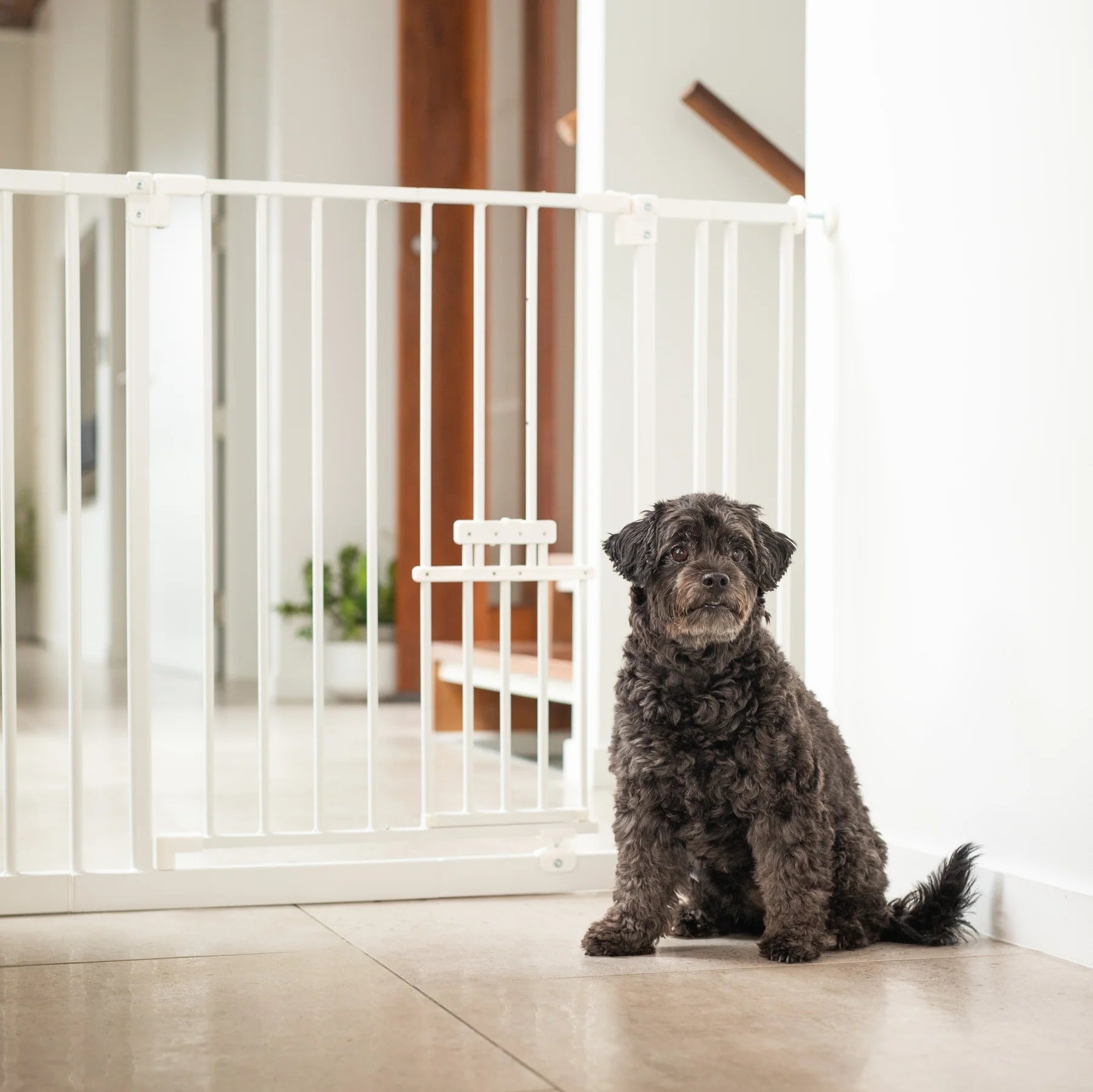 Hakuna Pets - Extra Wide Easy Fit Pet Gate + Extensions