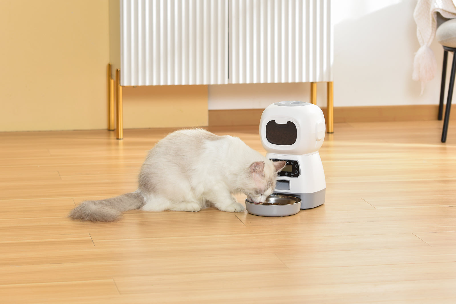 Cat interacting with a robot pet feeder on a wooden floor at Pet Servo