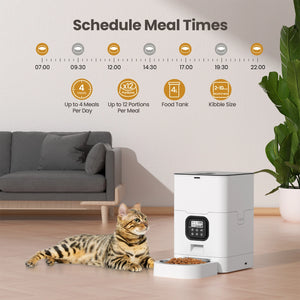 Cat sitting next to an automatic pet feeder with schedule details on a wall at Pet Servo