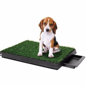 YES4PETS - Indoor Dog Puppy Toilet Grass Pad with 1 Grass - Pet Servo