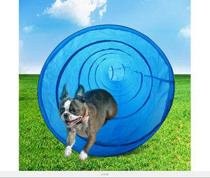 A Boston Terrier running through a blue circular tunnel toy on a green grass field under a blue sky at Pet Servo