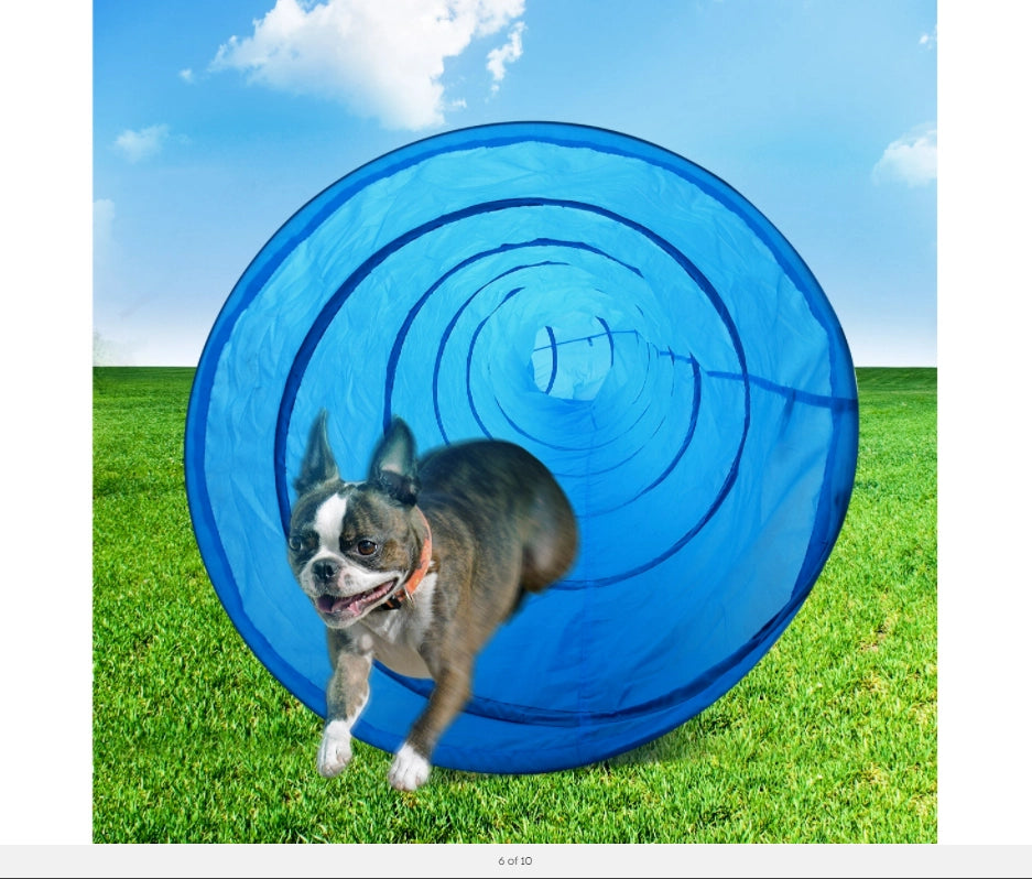 A Boston Terrier running through a blue circular tunnel toy on a green grass field under a blue sky at Pet Servo