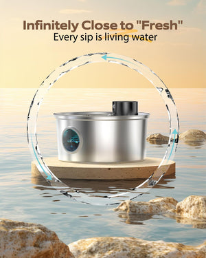 Water filtration device with a scenic background of water and rocks at Pet Servo