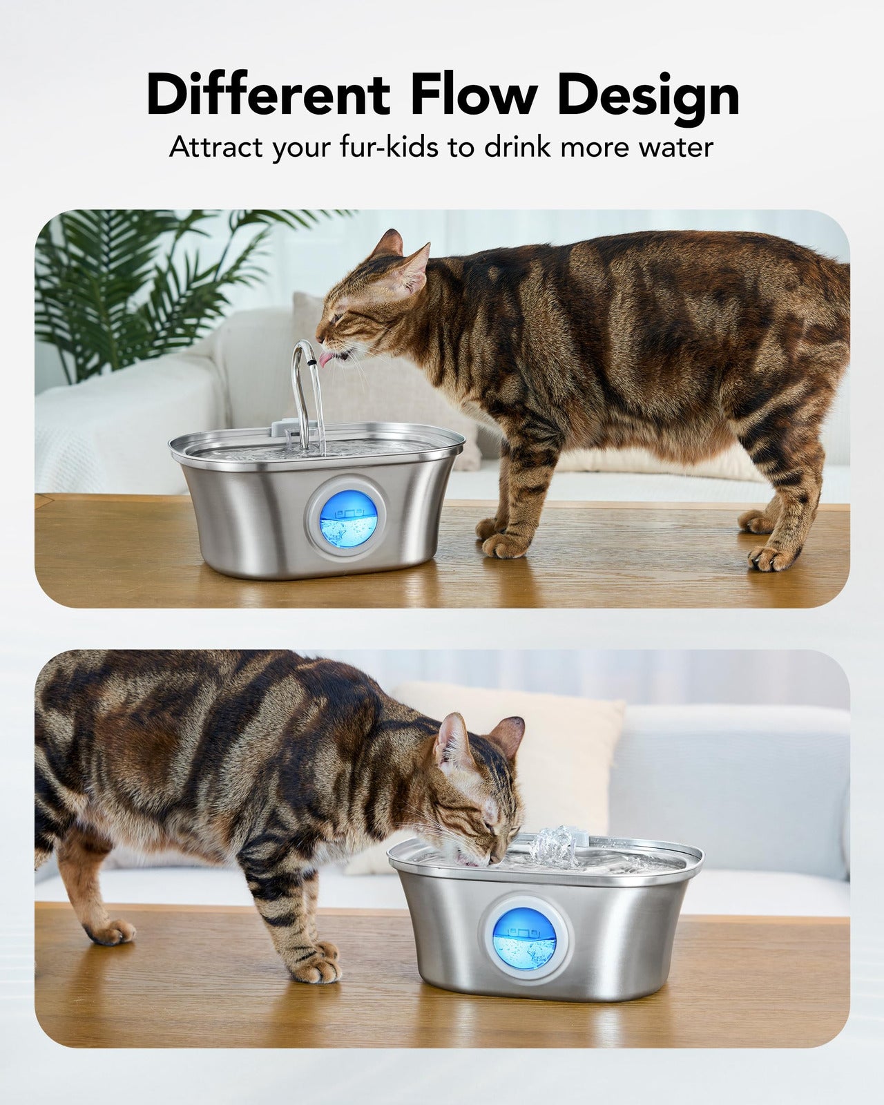 Cat drinking from a pet water fountain with 'Different Flow Design' text above at Pet Servo