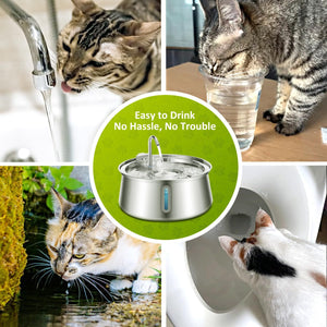 Collage of cats drinking water with a focus on a pet water fountain at Pet Servo