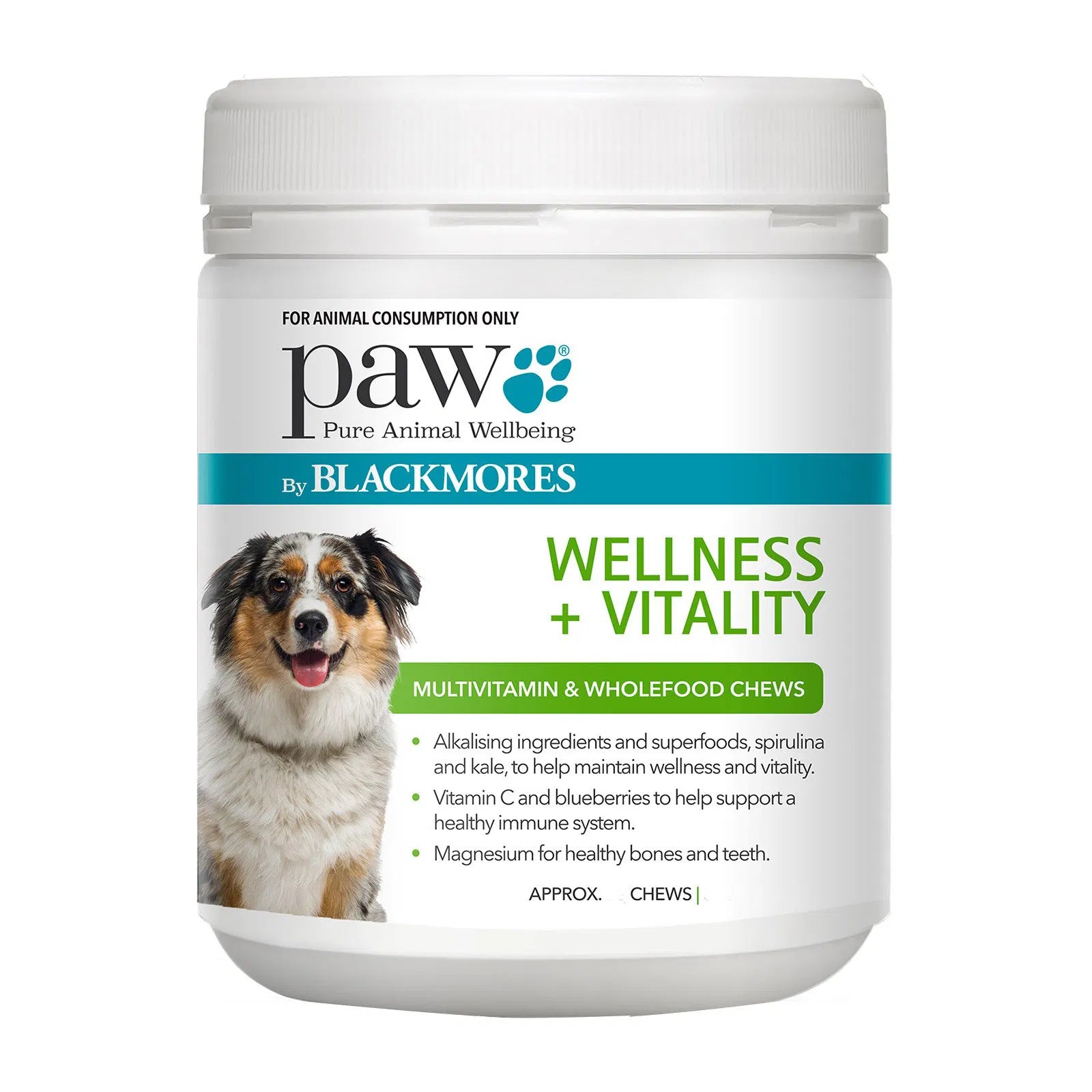Paw by Blackmores Wellness + Vitality dog supplement container on a white background at Pet Servo