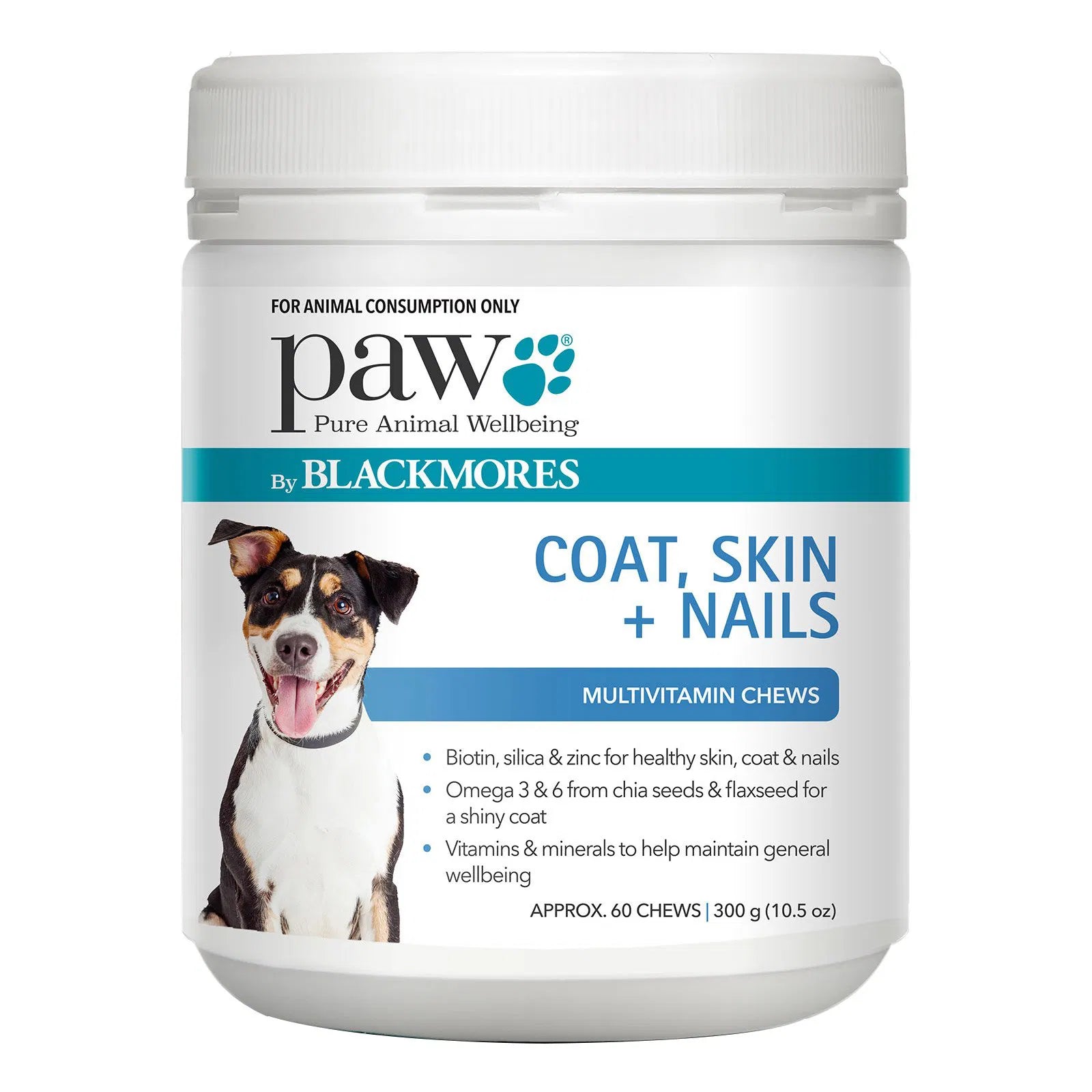 Paw by Blackmores coat, skin + nails multivitamin chews container on a white background at Pet Servo