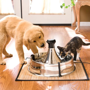 Petsafe - Drinkwell® 360 Stainless Steel Pet Fountain - petservo