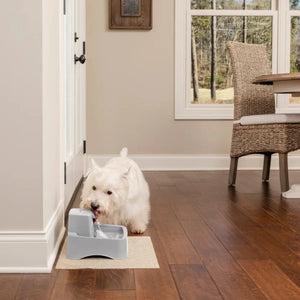 PetSafe® - Drinkwell® 1.8l Pet Fountain - petservo