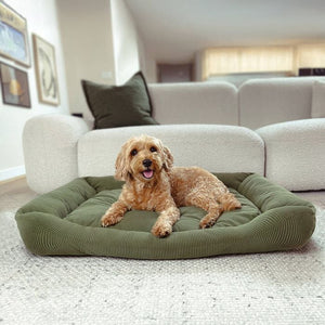 Dog lying on a green pet bed in a living room at Pet Servo