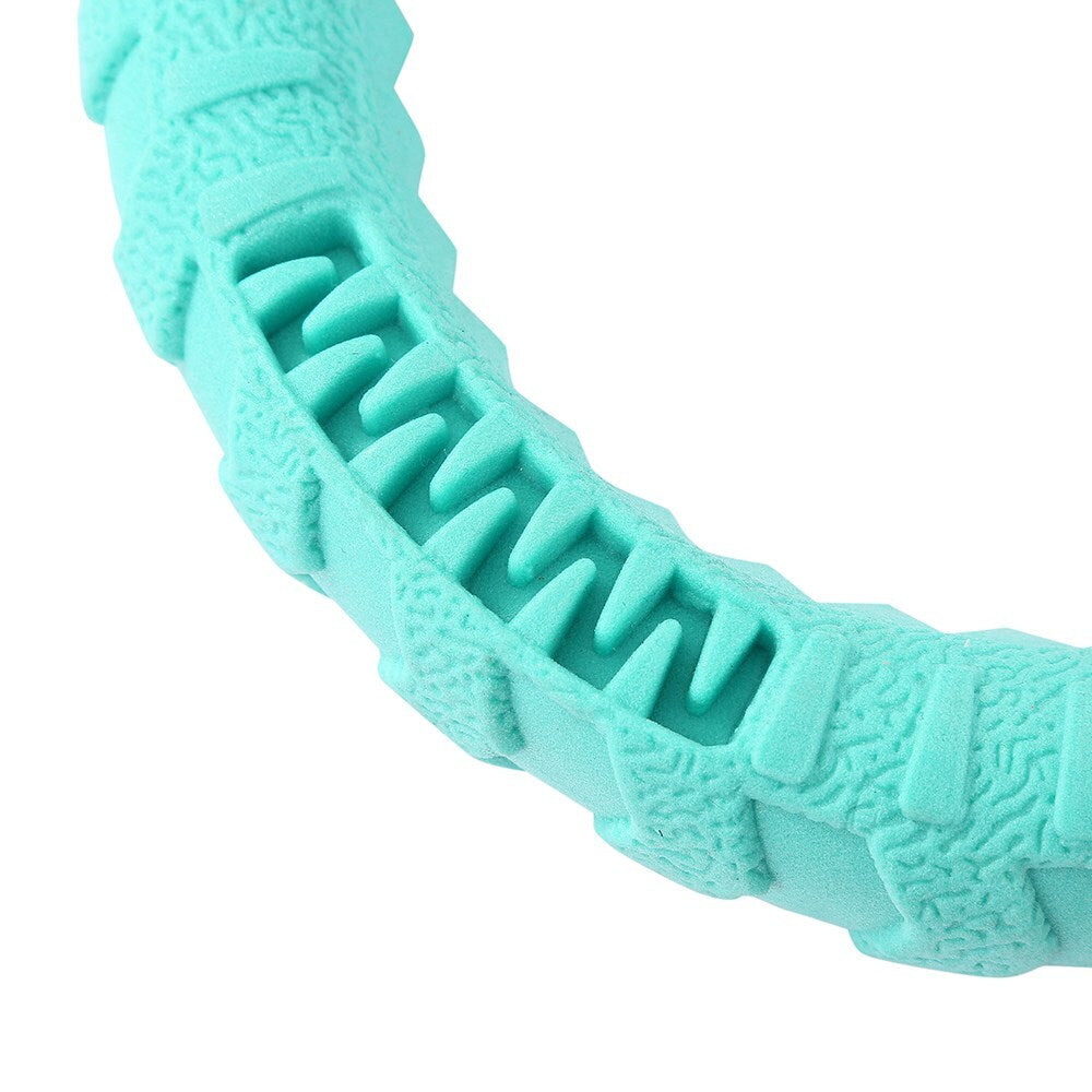Teal dog chew toy with textured surface on a white background at Pet Servo